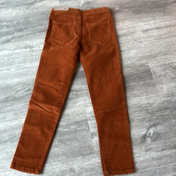 Zara Burnt Orange Skinny Pants - Picture 3 of 3